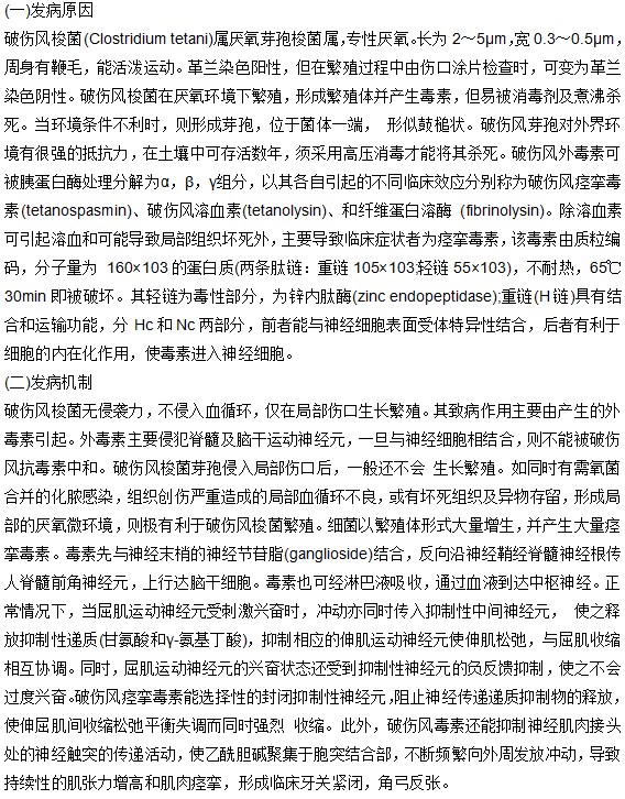 破傷風(fēng)的發(fā)病原理與發(fā)病機(jī)制是什么？