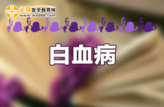 治療白血病需要注意哪些事項？