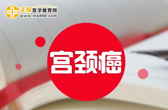 alt說明