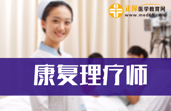 康復(fù)理療師專(zhuān)業(yè)人才標(biāo)準(zhǔn)
