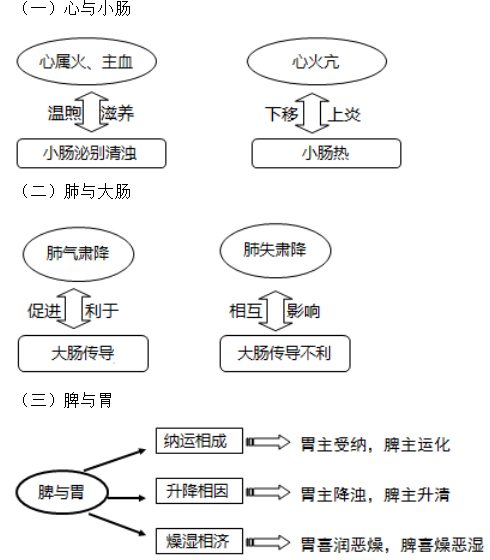 六腑與五臟之間的關系