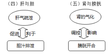 六腑與五臟之間的關系