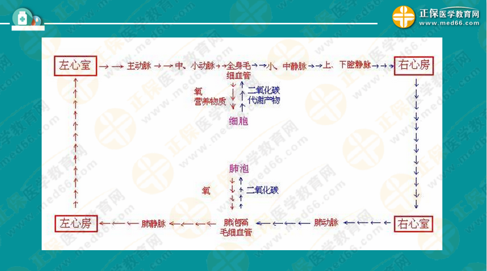 醫(yī)療衛(wèi)生考試筆試備考指導(dǎo)來了，共計2863頁書！怎么學(xué)？