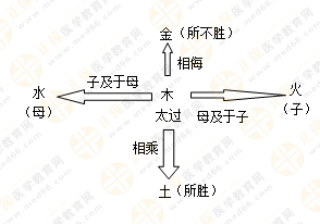 專業(yè)師資帶你學(xué)（五）：執(zhí)業(yè)藥師《中藥綜》五行學(xué)說！學(xué)習(xí)要有方法！