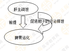 《中藥學(xué)綜合知識(shí)與技能》的藏象