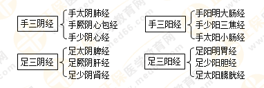 專業(yè)師資帶你學（九）：執(zhí)業(yè)藥師《中藥綜》經(jīng)絡(luò)與經(jīng)絡(luò)系統(tǒng)！5圖2表！