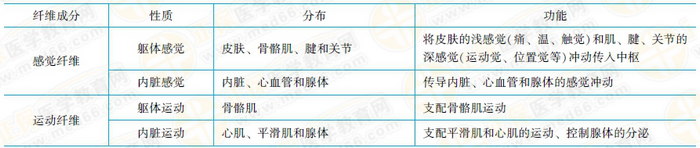 脊神經(jīng)的纖維成分及其分布和功能 