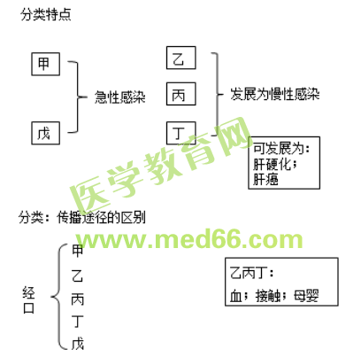 【邵啟軒】傳染病學-中西醫(yī)結(jié)合執(zhí)業(yè)醫(yī)師精選課