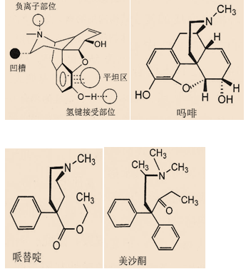 醫(yī)學(xué)教育網(wǎng)執(zhí)業(yè)西藥師：《答疑周刊》2019年第33期