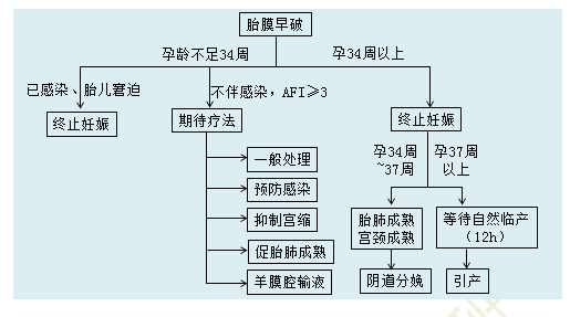 妊娠高血壓