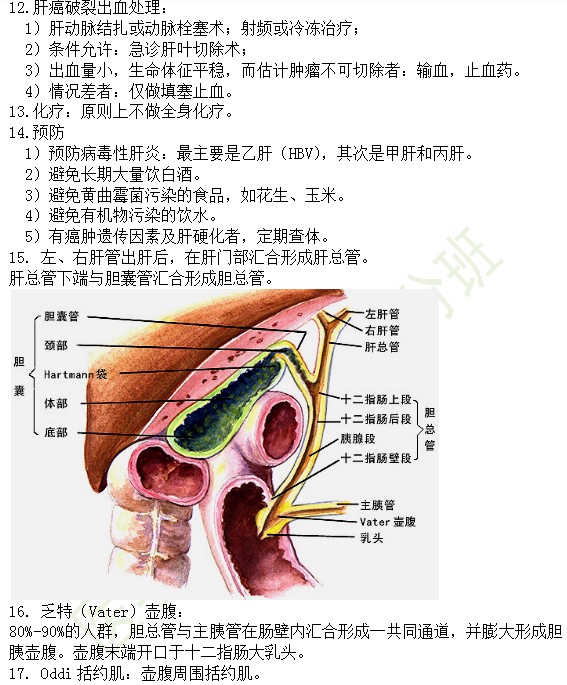 30個(gè)有關(guān)肝炎、膽囊炎相關(guān)考點(diǎn)匯總-臨床執(zhí)業(yè)醫(yī)師消化系統(tǒng)第九期！