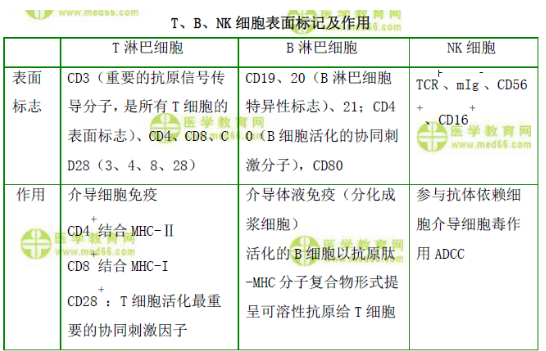 T、B、NK細(xì)胞表面標(biāo)記及作用