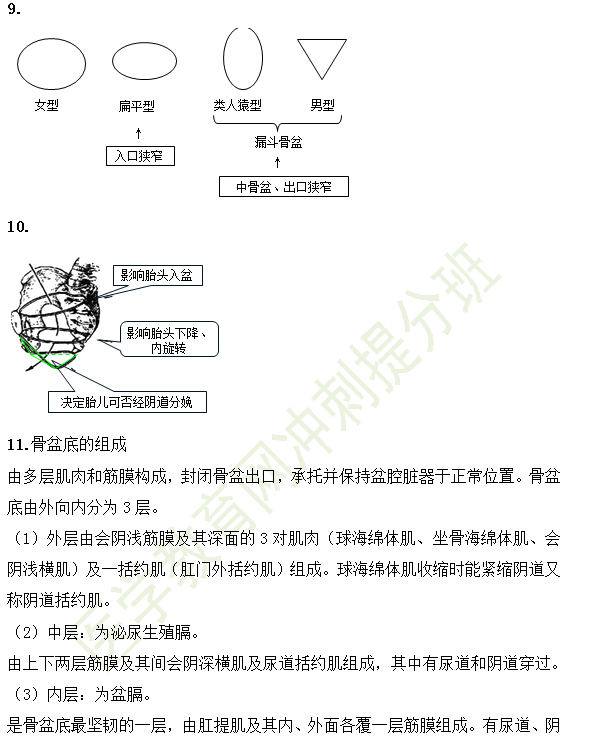 女性生殖系統(tǒng)