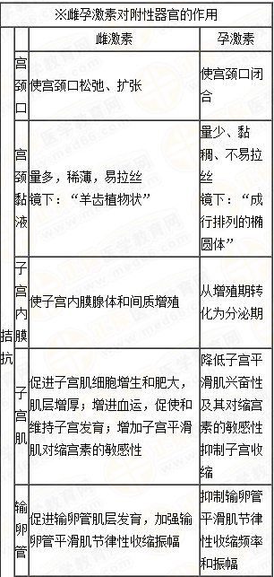 雌、孕激素的生理作用及附性器官的周期性變化