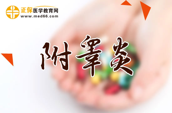 附睪炎分幾類？臨床表現(xiàn)有何特點？