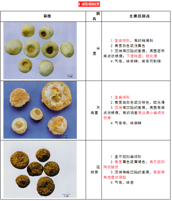 每日沖刺計劃！2019執(zhí)業(yè)藥師《中藥學專業(yè)知識二》第一篇！