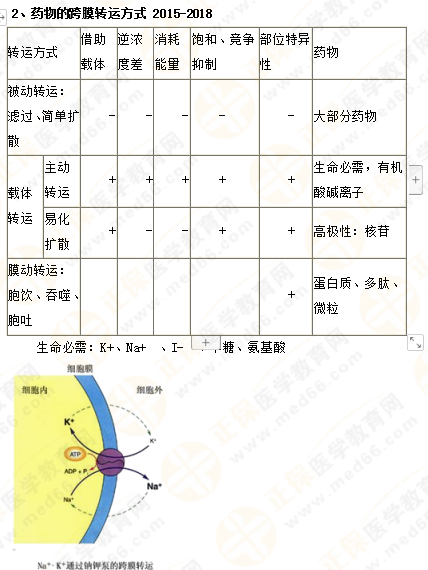 2019年執(zhí)業(yè)藥師《藥一》的藥劑學(xué)，15分鐘經(jīng)典回顧！