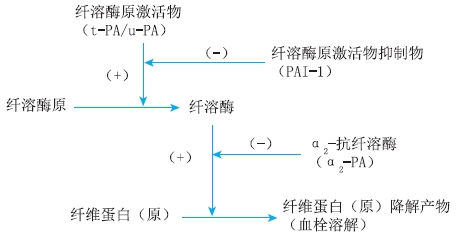 纖溶過(guò)程