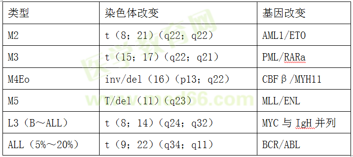 白血病常見(jiàn)的染色體和基因特異改變