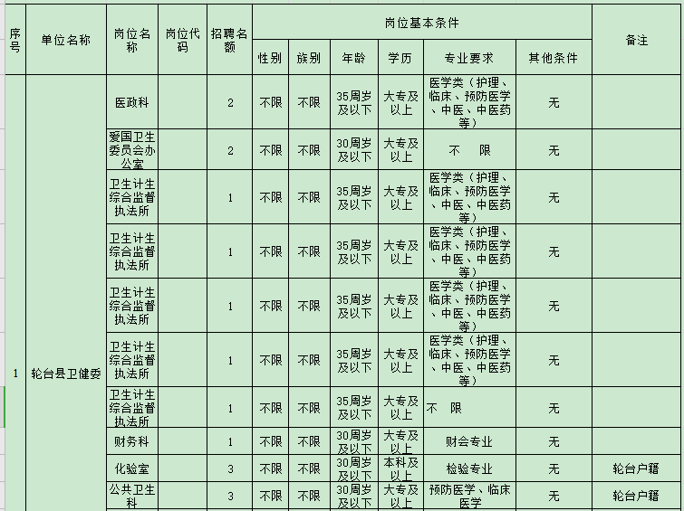 2020年新疆輪臺縣面向社會公開招聘編制外工作人員職位表（27人）1