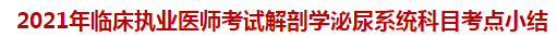 2021年臨床執(zhí)業(yè)醫(yī)師考試解剖學泌尿系統(tǒng)科目考點小結(jié)