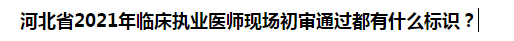 河北省2021年臨床執(zhí)業(yè)醫(yī)師現(xiàn)場初審?fù)ㄟ^都有什么標(biāo)識(shí)？