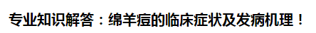 專業(yè)知識解答：綿羊痘的臨床癥狀及發(fā)病機理！