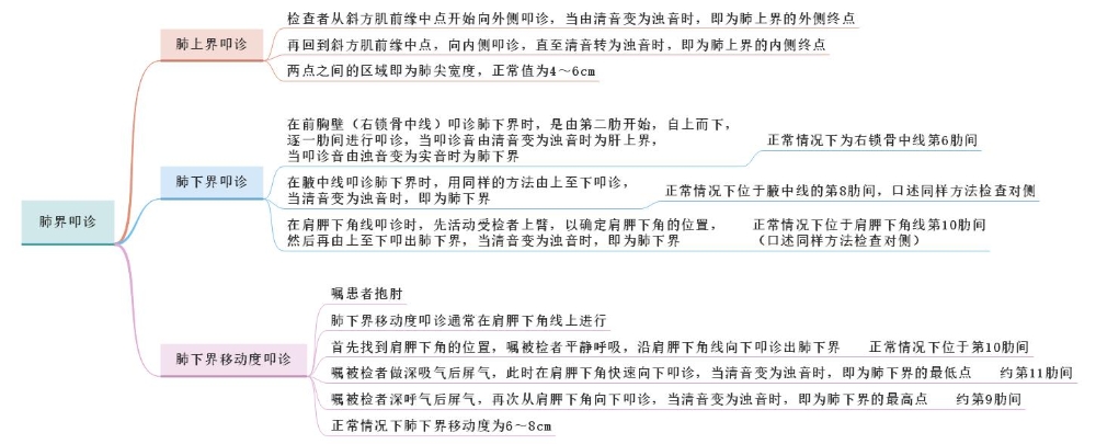 體格檢查——肺界叩診、肺下界移動(dòng)度叩診