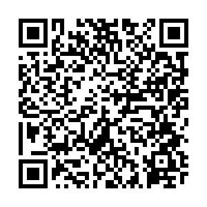 醫(yī)學教育網考試動態(tài)及干貨分享