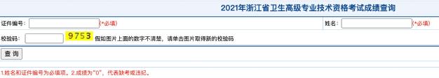 2021年浙江省衛(wèi)生高級(jí)專業(yè)技術(shù)資格考試成績(jī)查詢