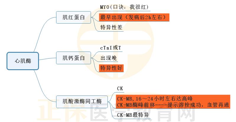 9.心肌梗死心肌酶思維導(dǎo)圖