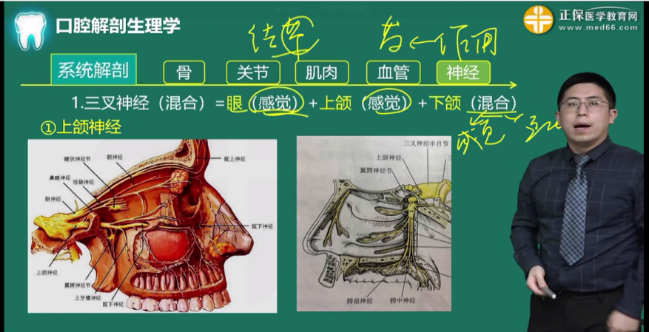 下頜神經