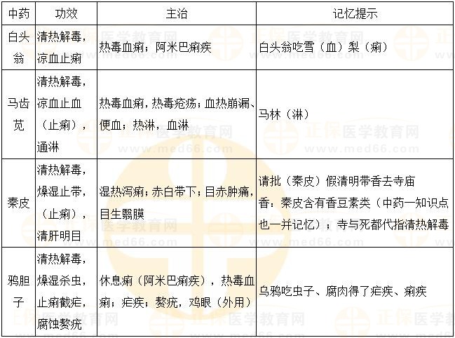 清熱解毒藥之止痢重點藥-2023《中藥二》必學考點