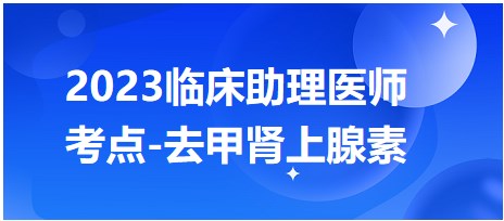 2023臨床助理醫(yī)師考點(diǎn)腎上腺素