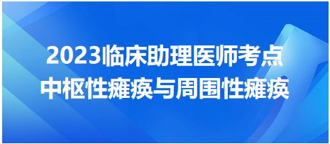 2023臨床助理醫(yī)師考點中樞性癱瘓