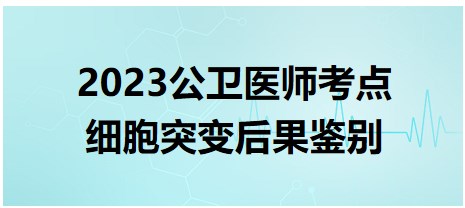 2023公衛(wèi)醫(yī)師考點細胞突變后果鑒別