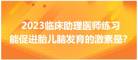 2023臨床助理醫(yī)師練習(xí)-促進胎兒腦發(fā)育的激素是？