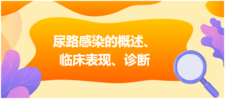 尿路感染的概述、臨床表現(xiàn)、診斷