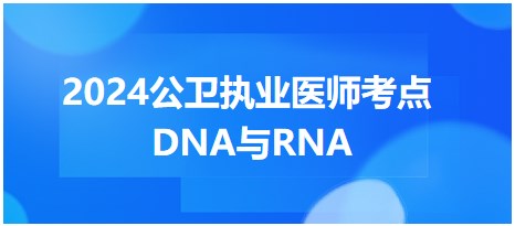 DNA與RNA